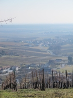 Südburgenland téli álma