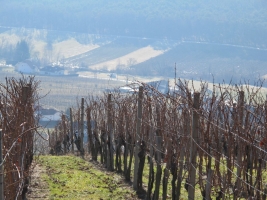 Südburgenland téli álma