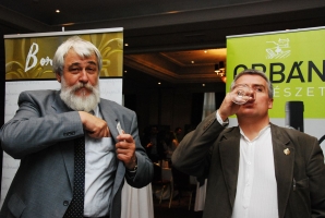 Egy újabb végeláthatatlan borsor