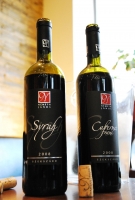 Gizella és Németh János a Vinoport Borbárban