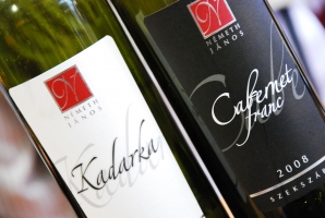 Gizella és Németh János a Vinoport Borbárban