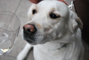 Gizella és Németh János a Vinoport Borbárban