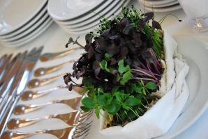 A dél-balatoni borászok közös kóstolója