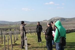 Master of Wine Intézet Magyarországon