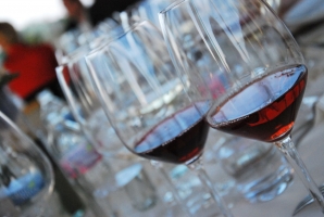 Pannonhalmán bíráltak a szakemberek