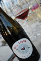 Pannonhalmán bíráltak a szakemberek