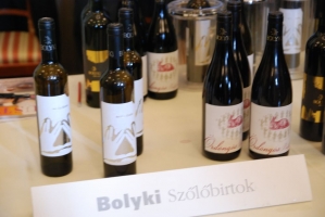 Egri Borok Gálája 2008.