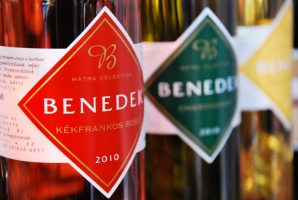 Benedek-Kvassay Borpremier a Vinoport Borbárban
