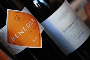 Benedek-Kvassay Borpremier a Vinoport Borbárban