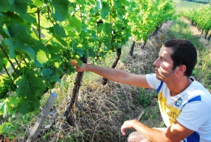 Felnőni a feladatokhoz