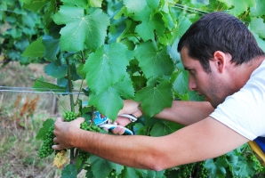 Felnőni a feladatokhoz