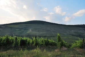 Felnőni a feladatokhoz