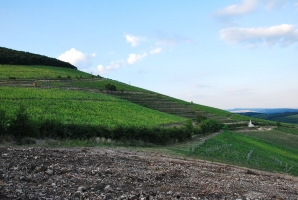 Felnőni a feladatokhoz