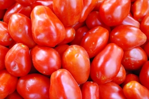 Liliomkert néhány nappal az ősz kezdete előtt