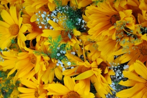 Liliomkert néhány nappal az ősz kezdete előtt