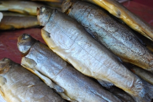 Liliomkert néhány nappal az ősz kezdete előtt