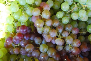 Liliomkert néhány nappal az ősz kezdete előtt