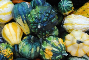 Liliomkert néhány nappal az ősz kezdete előtt