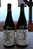 Furmint lett a fiatalok kedvenc bora