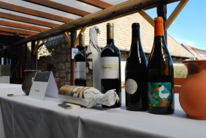 Furmint lett a fiatalok kedvenc bora