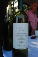 Borünnep a Skanzenben