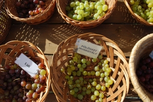 Borünnep a Skanzenben