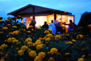 Budavári borozgatás