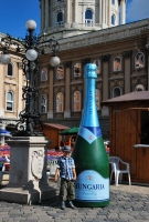 Budavári borozgatás