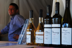 Budavári borozgatás