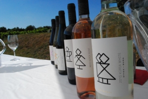 Etyeki Kezes-lábos 2011