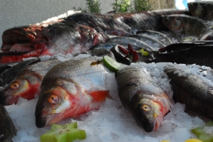 Etyeki Kezes-lábos 2011