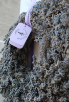 Etyeki Kezes-lábos 2011