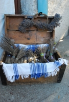 Etyeki Kezes-lábos 2011