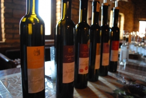 Etyeki Kezes-lábos 2011