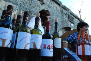 Etyeki Kezes-lábos 2011