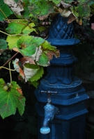 Ahol Roger Mór is megfordul