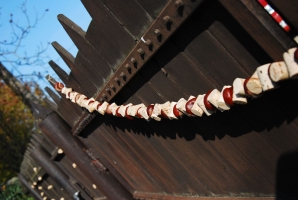 Ahol Roger Mór is megfordul