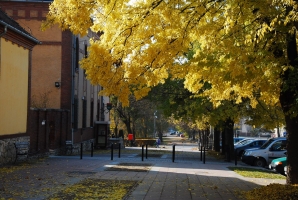 Ahol Roger Mór is megfordul