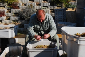 Ahol Roger Mór is megfordul