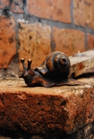 Ahol Roger Mór is megfordul