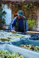 Ahol Roger Mór is megfordul