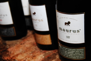 Műemlék épület és ezerjó