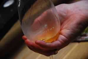 Műemlék épület és ezerjó