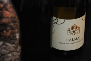 Kóstolót tartottak a Tőkések