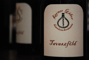 Kóstolót tartottak a Tőkések