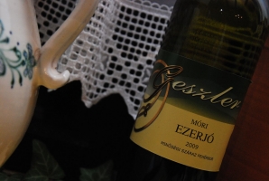 A sváb hagyományok nyomán