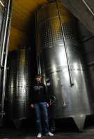 A sváb hagyományok nyomán