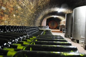 A sváb hagyományok nyomán