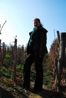 A sváb hagyományok nyomán