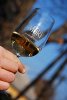 A sváb hagyományok nyomán